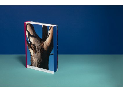 hlasy žen austrálie