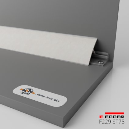 253B690C E9E7 4124 87E0 9B8823D311D4TL0019 F229 ST75 TCL Pic 01