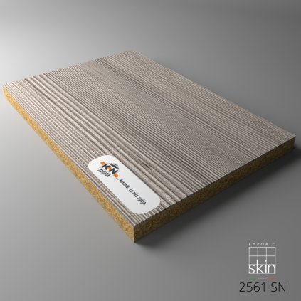 E519DB2A 455A 491B B675 66A0C251C0CASKI043 D 2561 SN Board 01