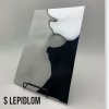 Sibu - SL OCEAN Silver, 2600 x 1000 x 8 mm, s lepidlom