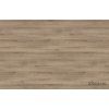5B4009DB A274 4D15 A5A8 D4446F415A10PF0032 R20256 NW Board Base
