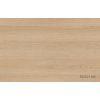 69A9C332 D3A5 424D A6E0 A41DB8B012A5PF0019 R20021 NW Board Base