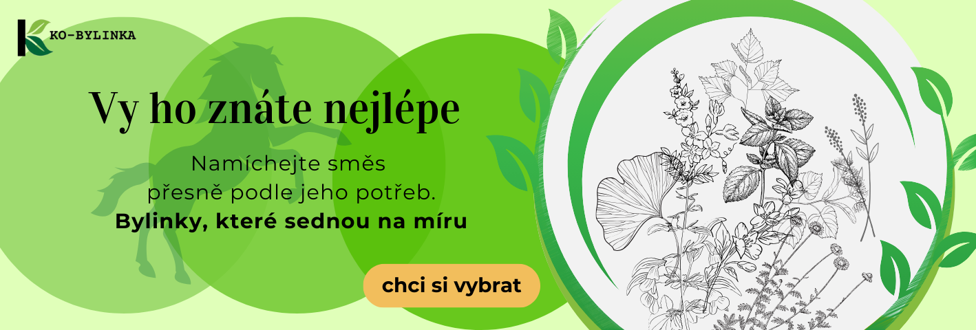 Jednodruhové bylinky pro koně – namíchejte přírodní směs na míru jejich potřebám! Vitalita z bylin. Bylinky od KO-BYLINKY.