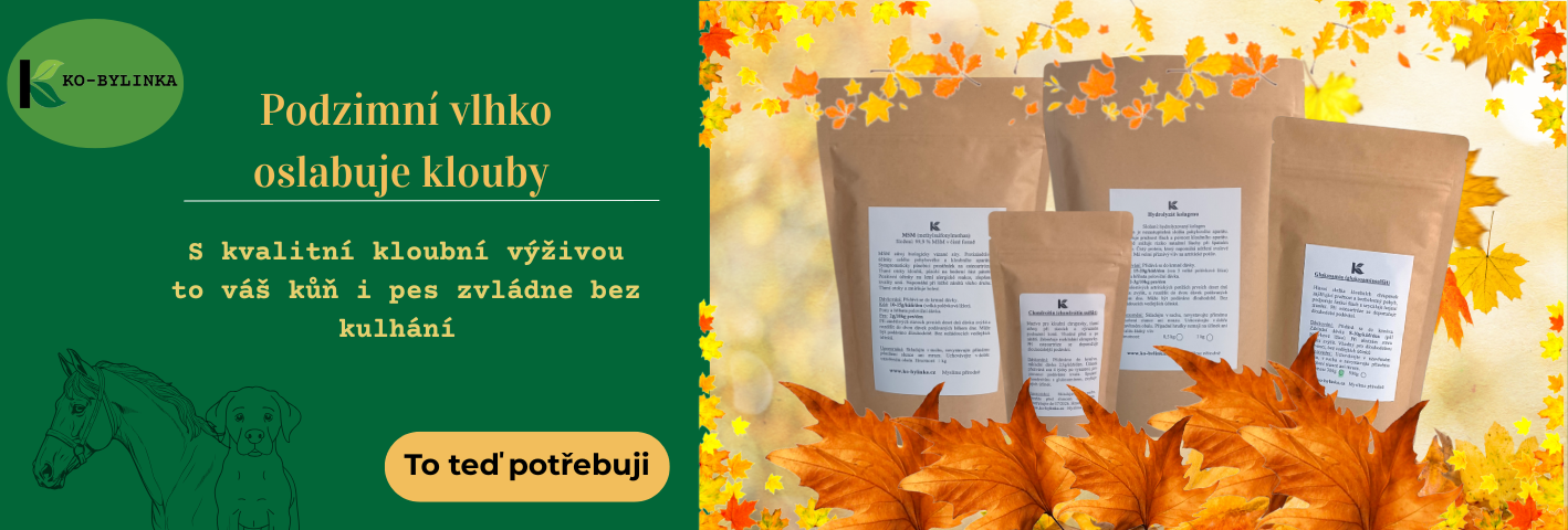 Přírodní kloubní výživa pro koně a psy – podpora kloubů proti podzimnímu vlhku, prevence kulhání. Myslíme přírodně, zkuste to také!