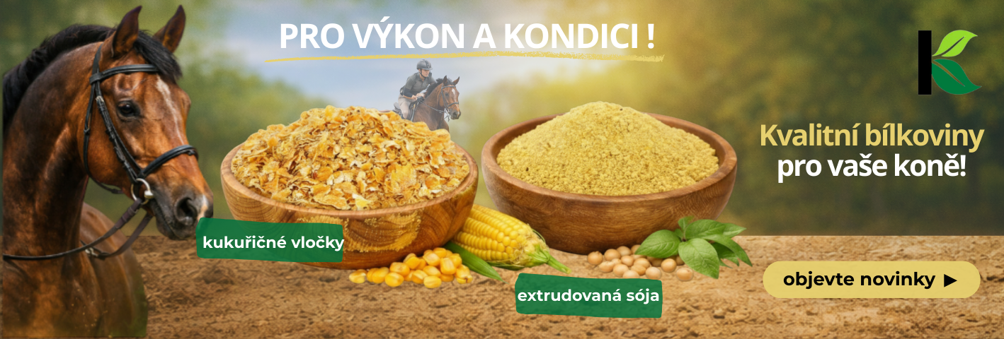 novinka, extrudovaná sója pro koně, kukuřičné vločky pro koně. Krmné suroviny pro koně