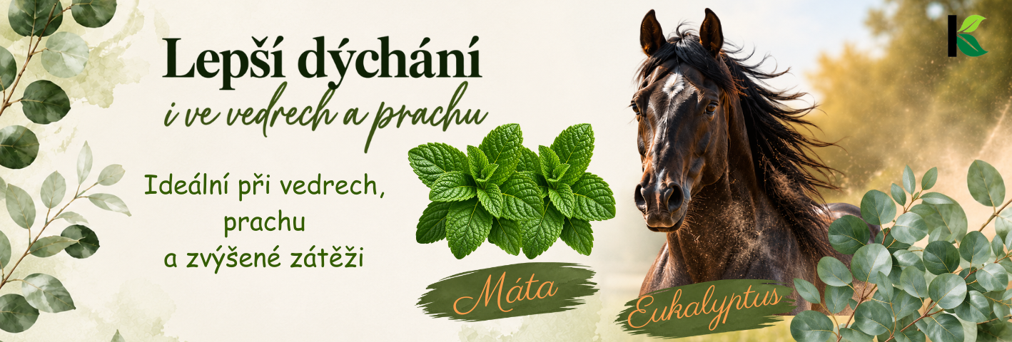 máta a eukalyptus pro koně