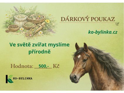 dárkový poukaz 500 (2)