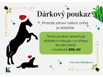Dárkový poukaz 500
