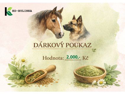 dárkový poukaz 2.000,