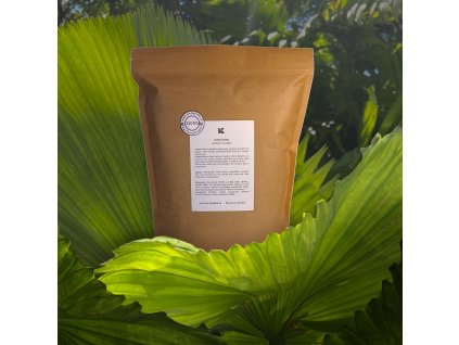 New Template ArthrisVital Photoroom