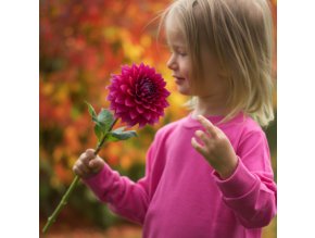 Merino tričko zářivě růžová