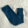 APC 0738