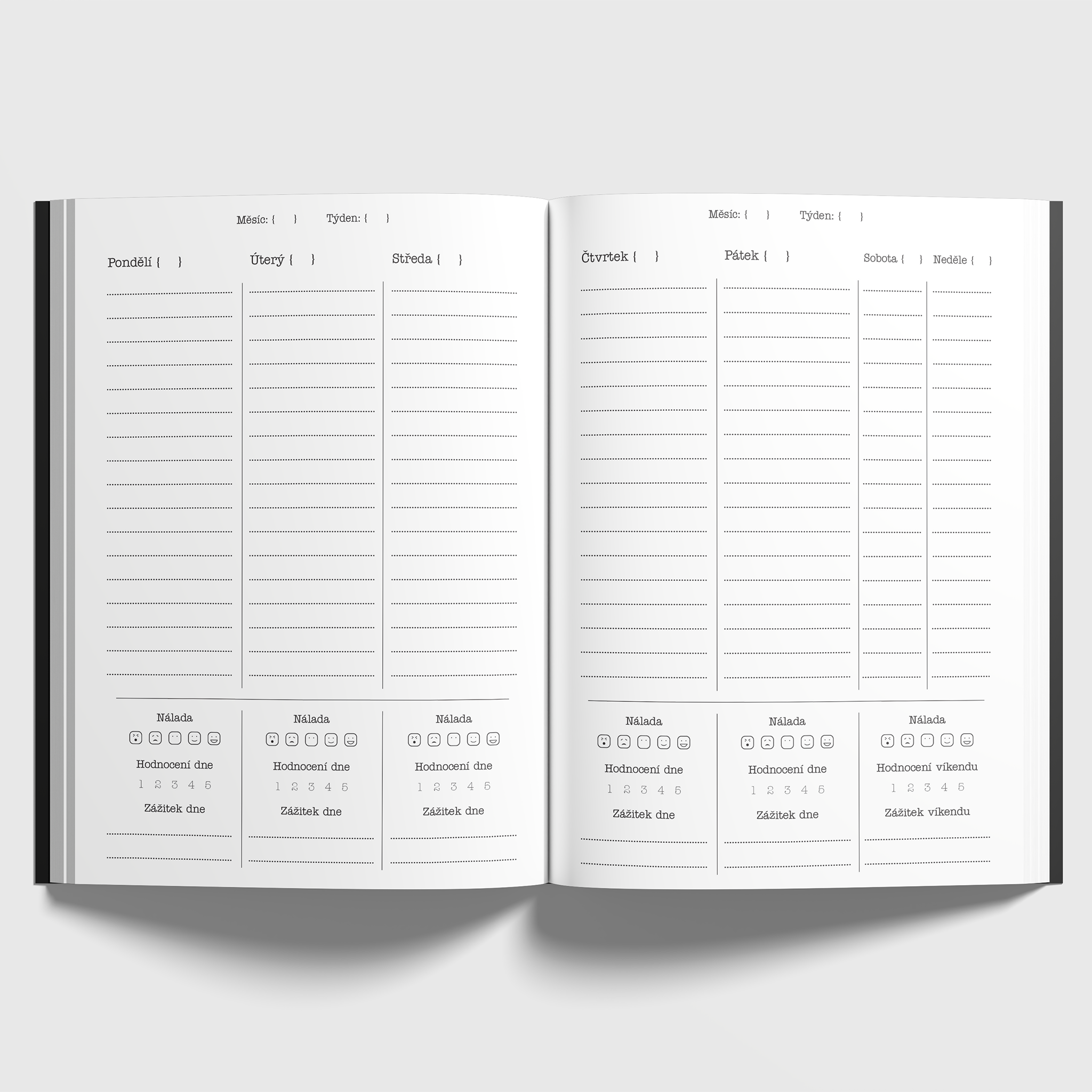 Planner06