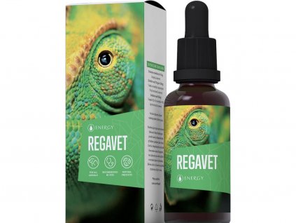 REGAVET ENERGY