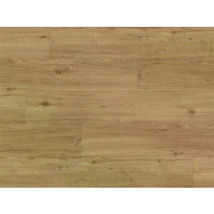 50615 experto lvt 55 dub ravello 6110 71