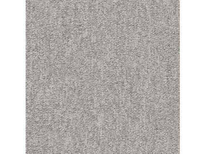e blitz ZDN9 193