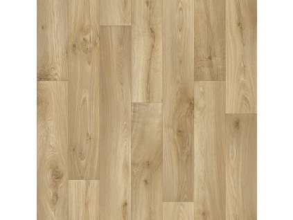 Titan Willow Oak 602L PSH.tif