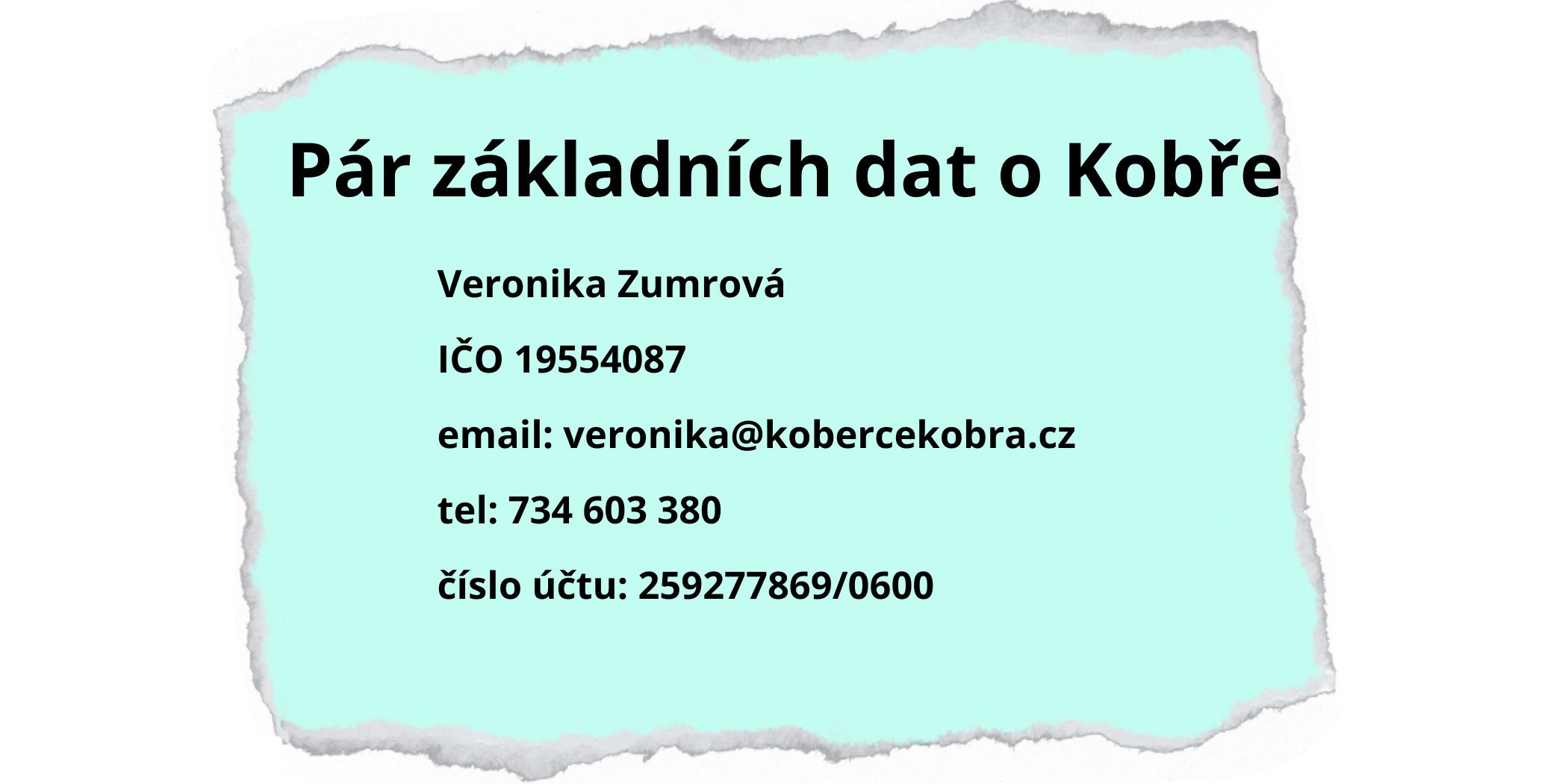 shoptet_Par_zakladnich_dat_o_kobre