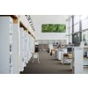 koberec a1 business pro merit new 6752 instalace brno
