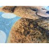 Dětský koberec Ultra Soft Medvídek modrý (Varianta 130x180 cm-SLEVA)