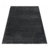 Kusový koberec Fluffy shaggy 3500 grey (Varianta 120x170 cm)