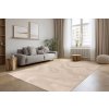 Kusový koberec Bergamo 702 beige (Varianta 120x170 cm)