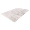 Kusový koberec Jardin 705 silver-ivory (Varianta 120x170 cm)