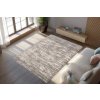 Kusový koberec Mirage 701 silver (Varianta 120x170 cm)