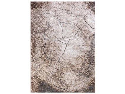 Moderní kusový koberec COMO RE41A Staré Dřevo béžový4