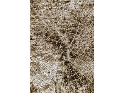 Moderní kusový koberec 70913/24326 TANGO Pařez stromu hnědý