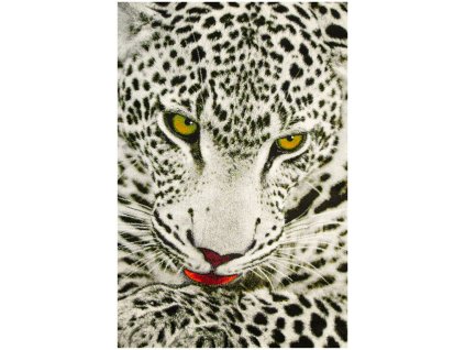 Kusový koberec Rainbow 11122/190 leopard šedý