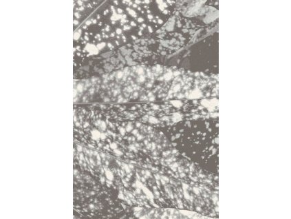Kusový koberec vlněný Agnella Tempo Natural Kroton (binding) šedý
