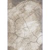 Moderní kusový koberec COMO RE41A Staré Dřevo béžový (Rozměr 80x150 cm)