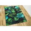 Kusový koberec Monstera Listy palmy zelený