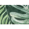 Moderní kusový koberec FLANNEL PRINTED C139D Listy zelený04