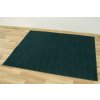 Kusový koberec Amazing 40 Láhvové zelený (Rozměr 100x150 cm)