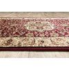 Běhoun ROYAL AGY 0521 bordo4