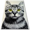 Kusový koberec BCF FLASH 33319 160 Kočka krémový šedý