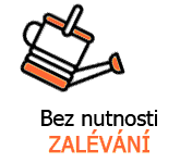 Zalevani