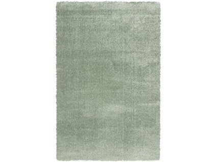 Chlupatý kusový koberec Dolce Vita 01AAA | zelená