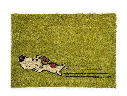 Rohožka Kokos Zelený pes - na ven i na doma (Typ 40x60)