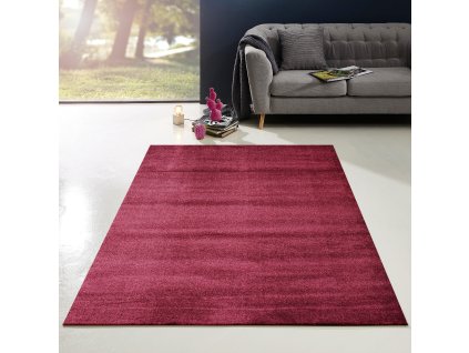 Kusový koberec Enjoy 800 Cherry (Typ 200x290)
