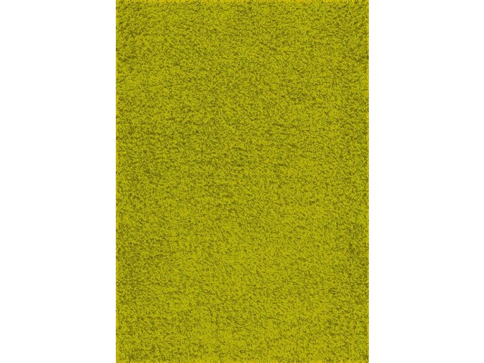 Chlupatý kusový koberec Expo Shaggy zelený 5699-344 (Typ 200x290 cm)