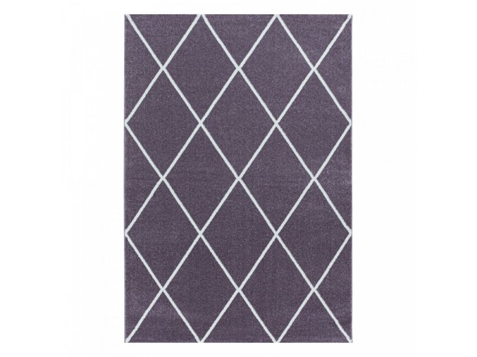 Moderní kusový koberec Rio 4601 lila | Fialová