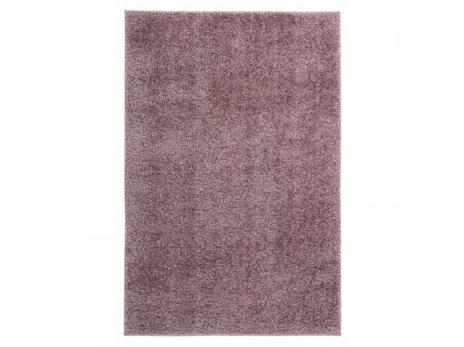 Moderní Kusový koberec Emilia 250 prách fialový