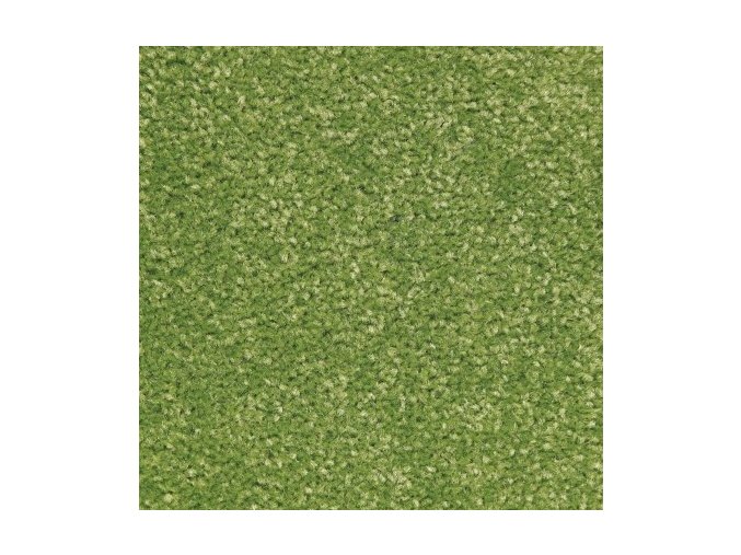 Moderní kusový koberec Nasty 101149 Grün 200x200 cm čtverec | Zelená