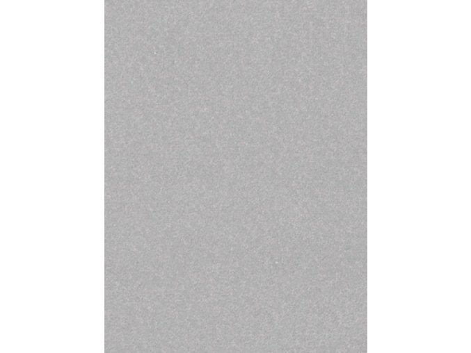 Jednobarevní kusový koberec Nasty 101595 Silber | Šedá