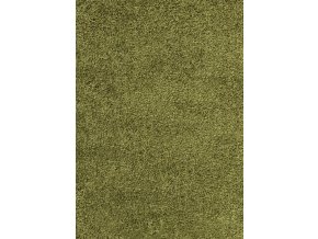 Chlupatý kusový koberec Dream Shaggy 4000 zelený (Typ 65x130 cm)