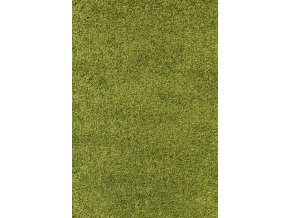 Chlupatý kusový koberec Life Shaggy 1500 zelený