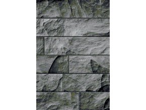 Moderní kusový koberec Parma 9250 Black | černý (Typ 80x300 cm)